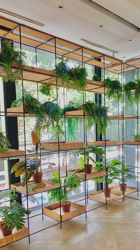 Mise en place et gestion durable des bioagresseurs d’une pépinière de plantes ornementales dans la commune de Kétou