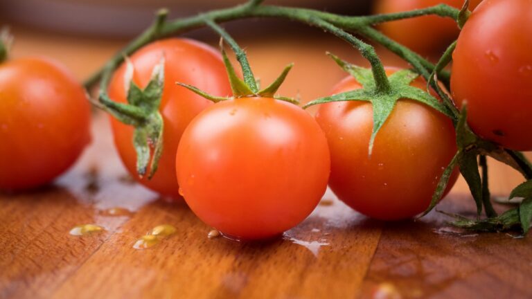 Image de Tomates